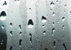 Removing Condensation and Mist from Car Windows - Motorway Windscreens
